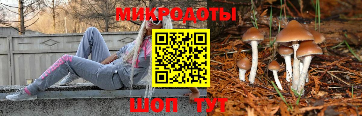 Псилоцибиновые грибы Psilocybe Сергиев Посад